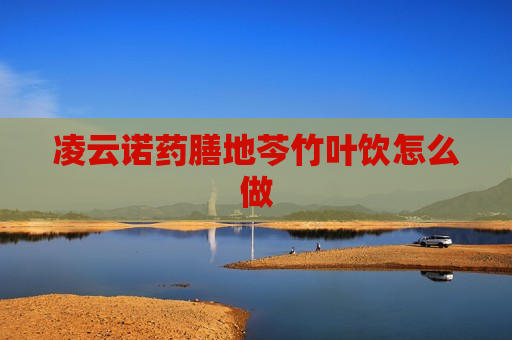凌云诺药膳地芩竹叶饮怎么做