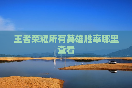 王者荣耀所有英雄胜率哪里查看