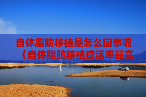自体脂肪移植是怎么回事呢（自体脂肪移植成活率最高是多少）