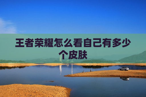 王者荣耀怎么看自己有多少个皮肤