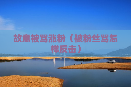 故意被骂涨粉（被粉丝骂怎样反击）