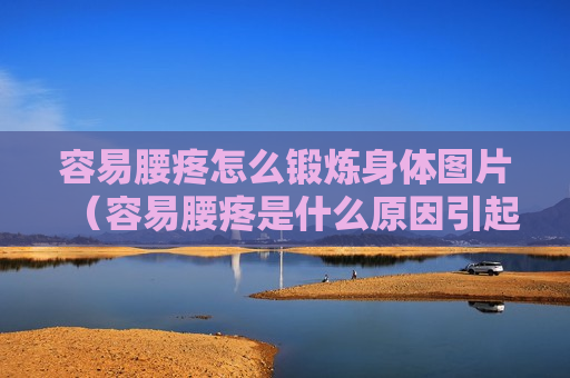 容易腰疼怎么锻炼身体图片（容易腰疼是什么原因引起的）