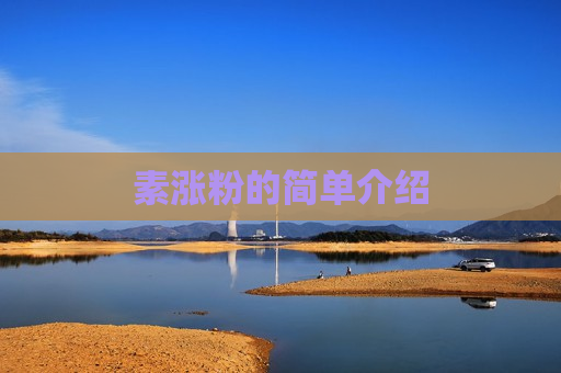 素涨粉的简单介绍
