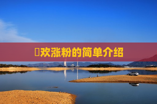 囍欢涨粉的简单介绍