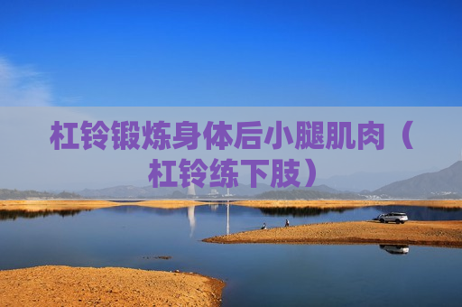 杠铃锻炼身体后小腿肌肉（杠铃练下肢）