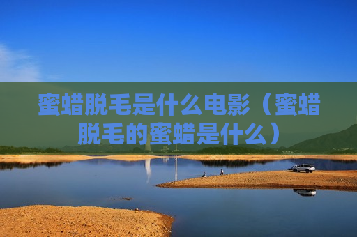 蜜蜡脱毛是什么电影（蜜蜡脱毛的蜜蜡是什么）