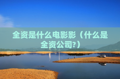 全资是什么电影影（什么是全资公司?）