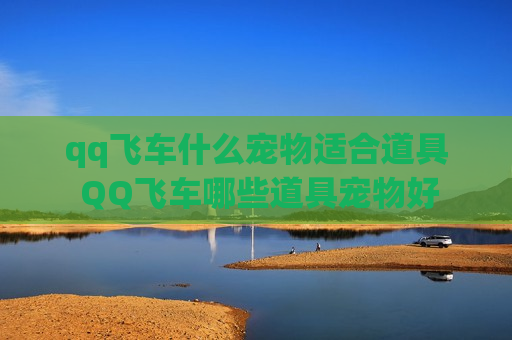 qq飞车什么宠物适合道具 QQ飞车哪些道具宠物好