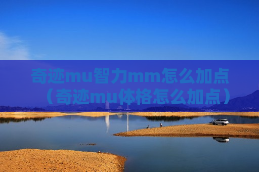 奇迹mu智力mm怎么加点（奇迹mu体格怎么加点）