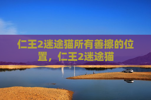 仁王2迷途猫所有善擦的位置，仁王2迷途猫