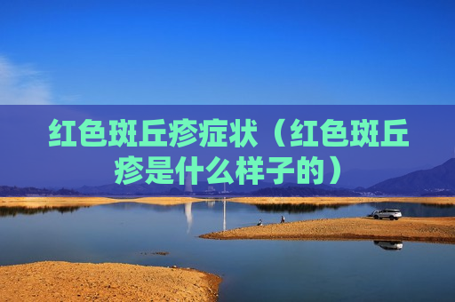 红色斑丘疹症状（红色斑丘疹是什么样子的）
