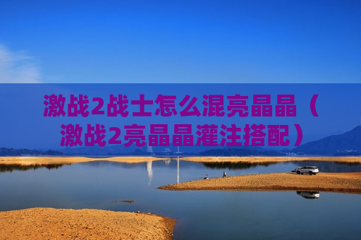激战2战士怎么混亮晶晶（激战2亮晶晶灌注搭配）