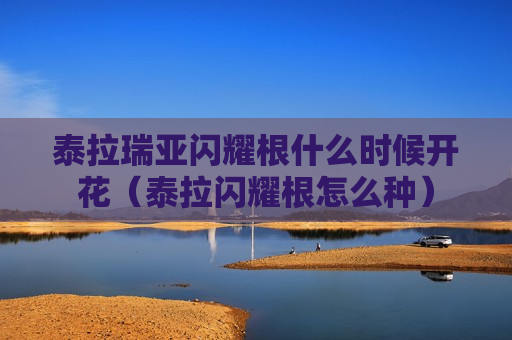 泰拉瑞亚闪耀根什么时候开花（泰拉闪耀根怎么种）