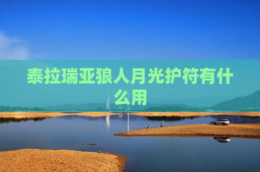 泰拉瑞亚狼人月光护符有什么用
