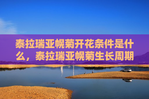 泰拉瑞亚幌菊开花条件是什么，泰拉瑞亚幌菊生长周期