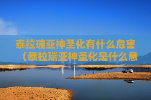 泰拉瑞亚神圣化有什么危害（泰拉瑞亚神圣化是什么意思）