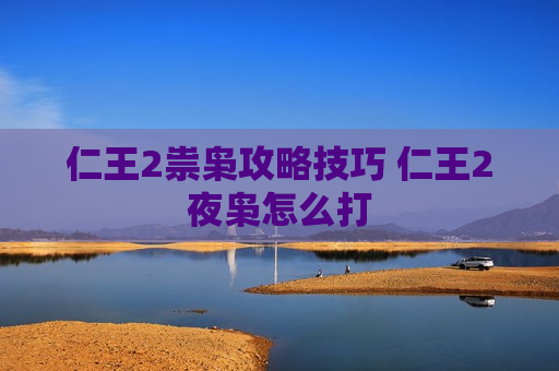 仁王2祟枭攻略技巧 仁王2夜枭怎么打