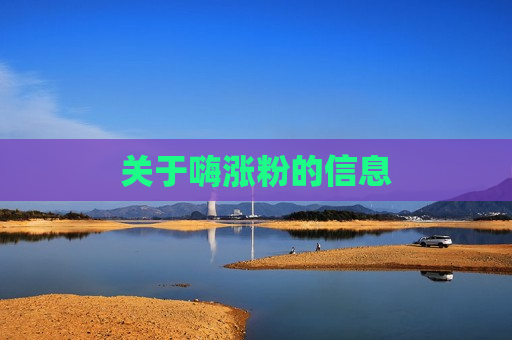 关于嗨涨粉的信息