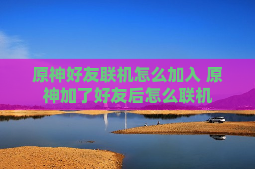 原神好友联机怎么加入 原神加了好友后怎么联机