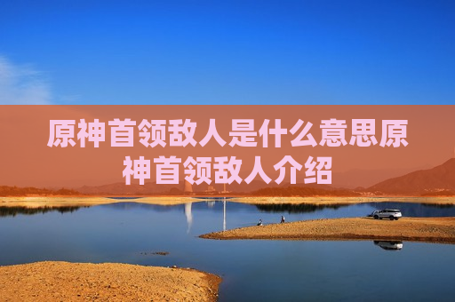 原神首领敌人是什么意思原神首领敌人介绍