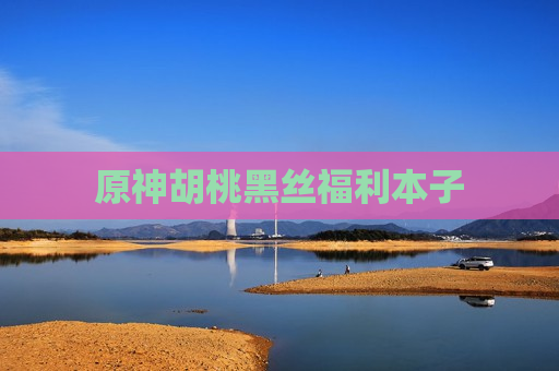 原神胡桃黑丝福利本子