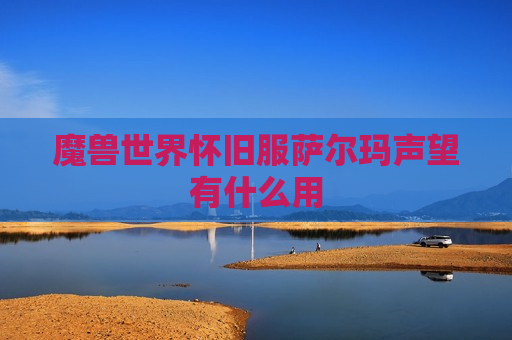 魔兽世界怀旧服萨尔玛声望有什么用