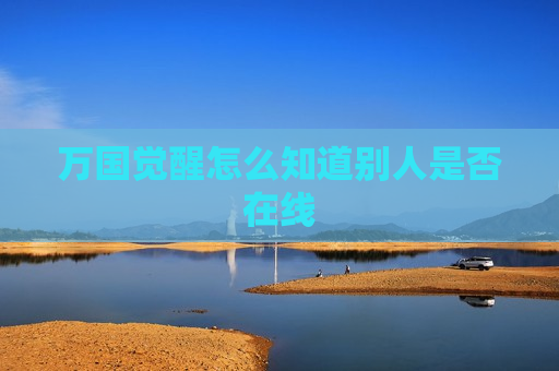 万国觉醒怎么知道别人是否在线