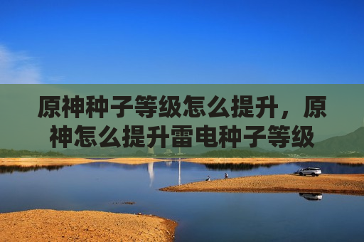 原神种子等级怎么提升，原神怎么提升雷电种子等级