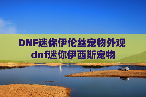 DNF迷你伊伦丝宠物外观 dnf迷你伊西斯宠物