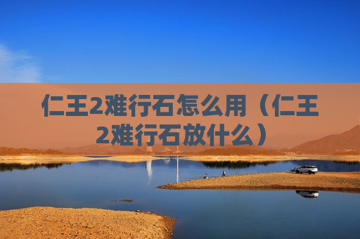 仁王2难行石怎么用（仁王2难行石放什么）