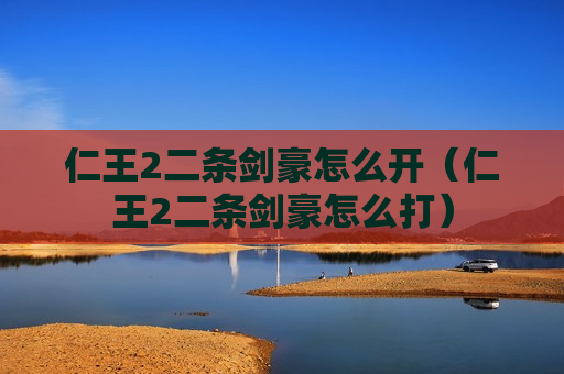 仁王2二条剑豪怎么开（仁王2二条剑豪怎么打）