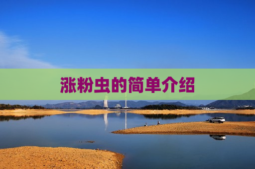 涨粉虫的简单介绍