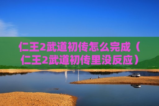 仁王2武道初传怎么完成（仁王2武道初传里没反应）