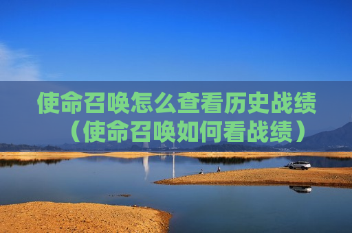使命召唤怎么查看历史战绩（使命召唤如何看战绩）