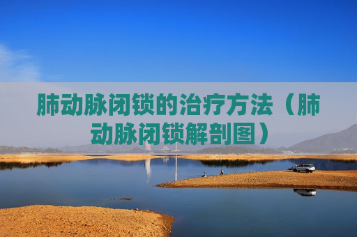 肺动脉闭锁的治疗方法（肺动脉闭锁解剖图）