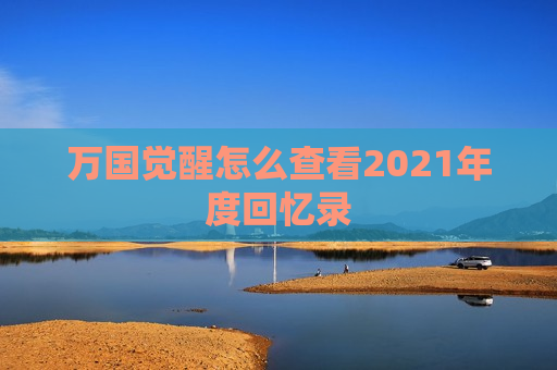 万国觉醒怎么查看2021年度回忆录