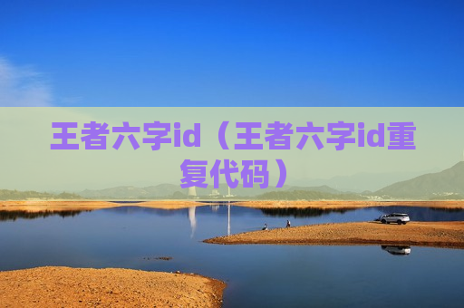 王者六字id（王者六字id重复代码）