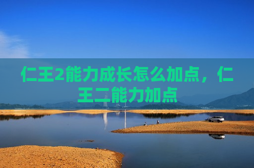 仁王2能力成长怎么加点，仁王二能力加点