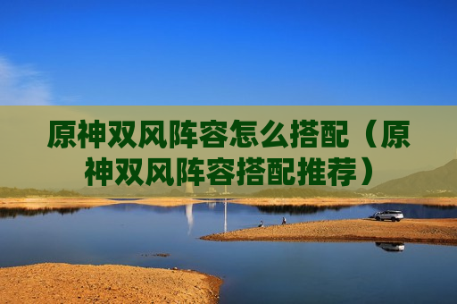 原神双风阵容怎么搭配（原神双风阵容搭配推荐）