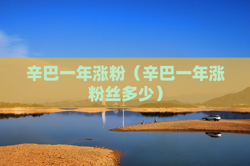 辛巴一年涨粉（辛巴一年涨粉丝多少）