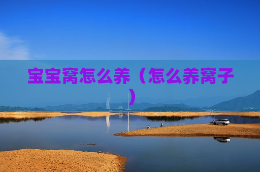 宝宝窝怎么养（怎么养窝子）