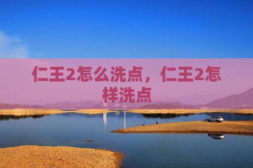 仁王2怎么洗点，仁王2怎样洗点