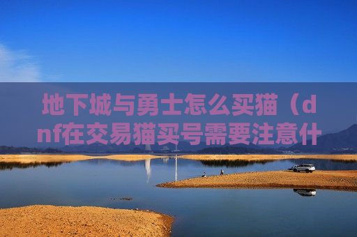 地下城与勇士怎么买猫（dnf在交易猫买号需要注意什么）