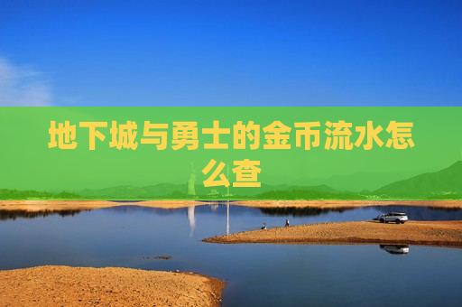 地下城与勇士的金币流水怎么查