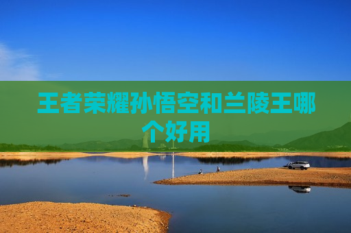 王者荣耀孙悟空和兰陵王哪个好用