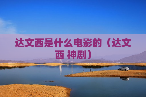 达文西是什么电影的（达文西 神剧）