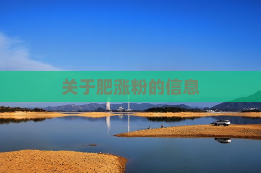 关于肥涨粉的信息