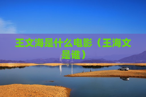 王文海是什么电影（王海文是谁）