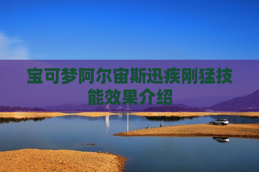 宝可梦阿尔宙斯迅疾刚猛技能效果介绍