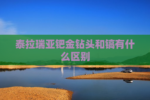 泰拉瑞亚钯金钻头和镐有什么区别